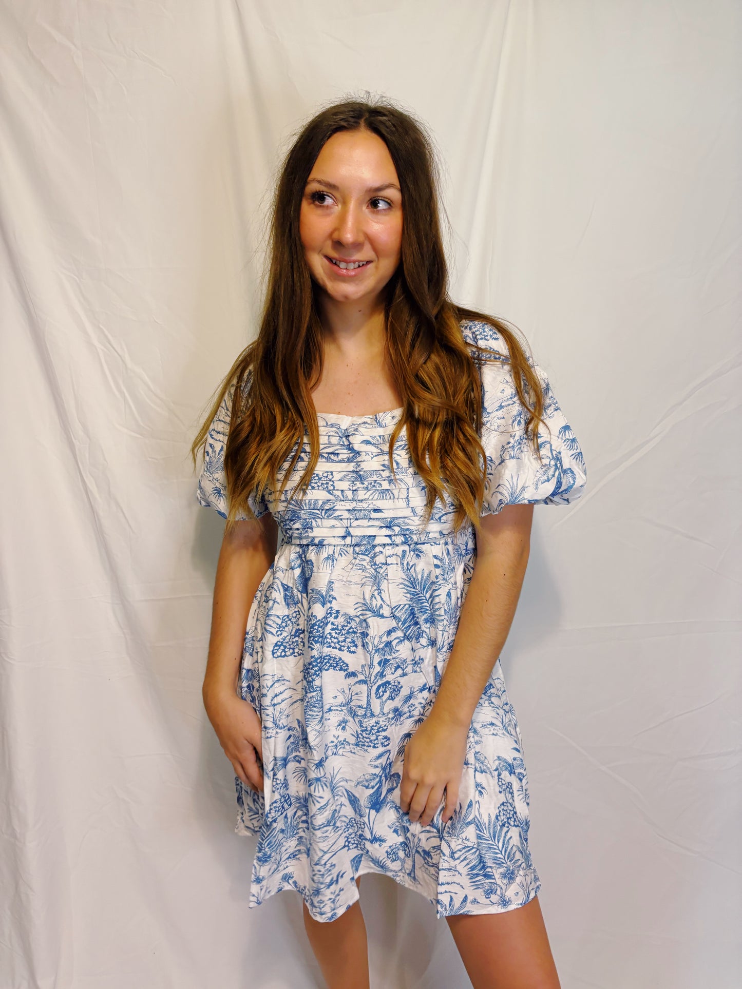 The Venice Puff Sleeve Dress